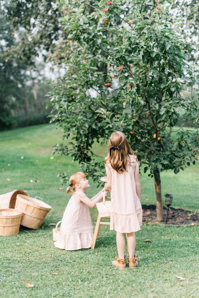2 girls pick apples from an apple tree