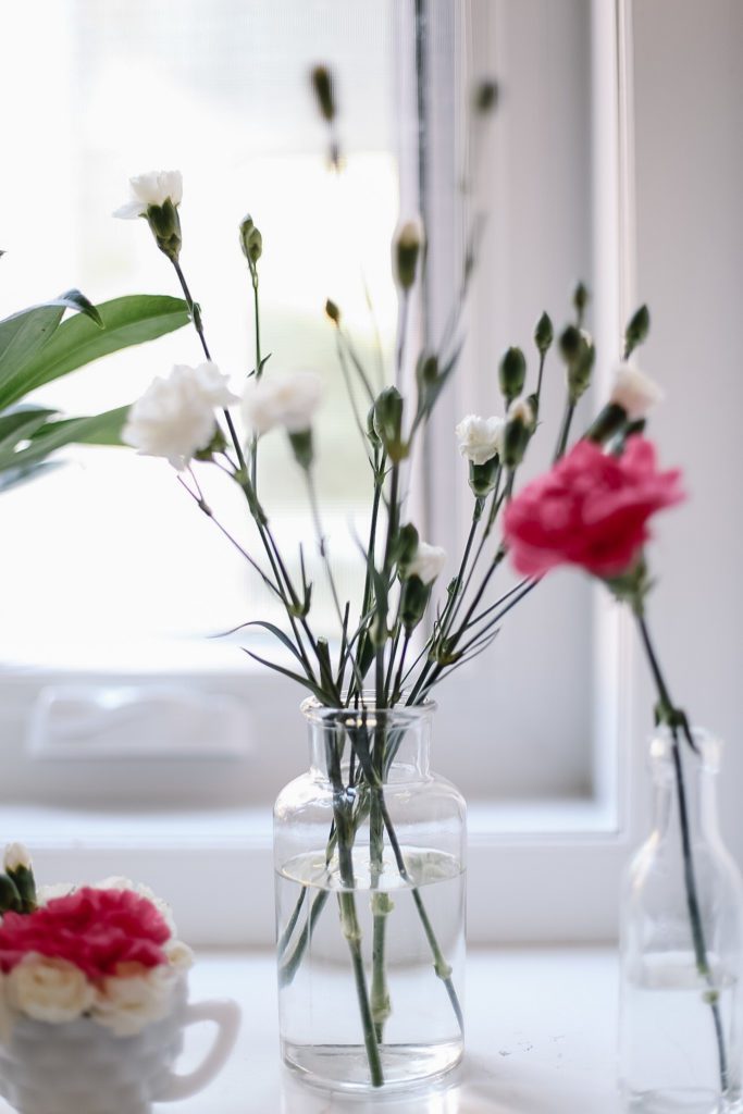 simple glass vase with a few carnation stems