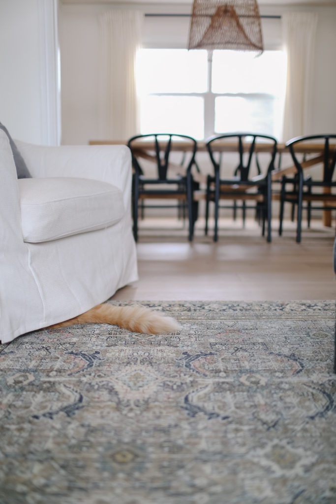 A cat\'s tail sticks out from under a white armchair
